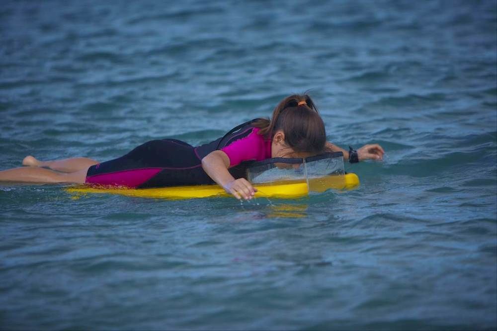 Great Keppel Island Holiday Village エクステリア 写真